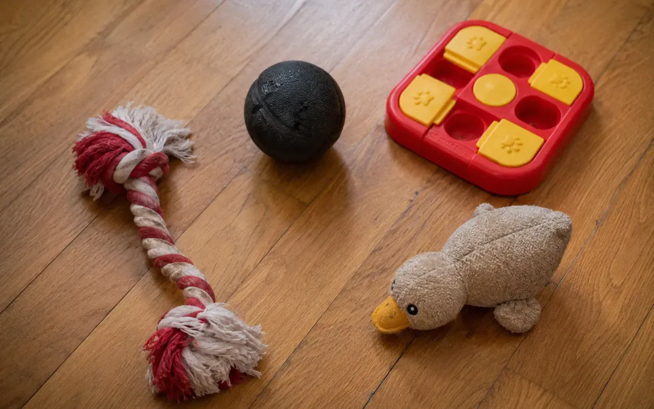 Assortment of dog toys including rope tug toy rubber chew ball puzzle feeder and plush squeaker toy