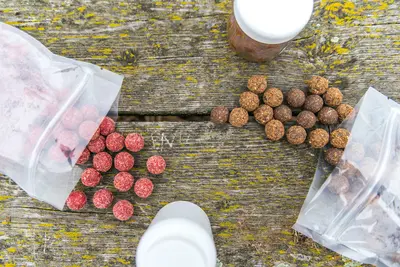 10 Best Dog Food Options For Weight Gain Rated & Reviewed