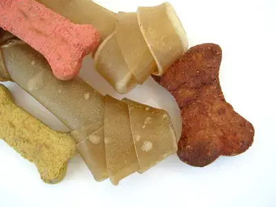 The 10 Best Chicken & Sweet Potato Dog Treats in 2026, Ranked