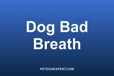 A dog having its teeth and breath checked at home