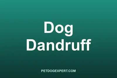 Close-up of flaky dandruff in a dog's coat