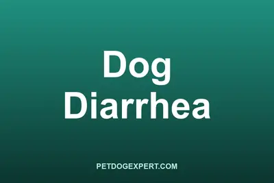 A dog resting on a blanket with an upset stomach