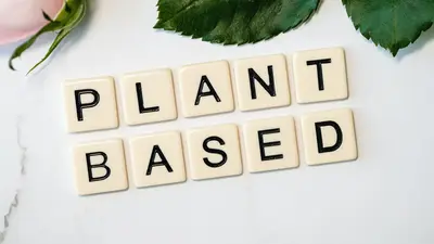 Best Plant Based Dog Food Products (Top 10 Reviews & Buyer's Guide)