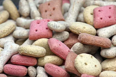 10 Best Dog Treats Without BHA and Their Reviews