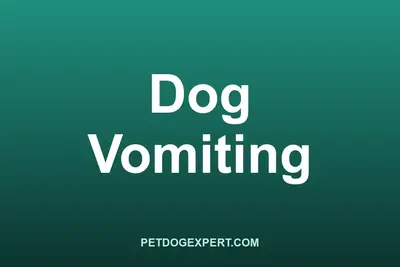 A dog resting after vomiting while its owner watches