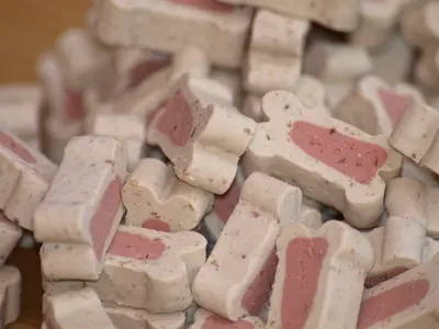 How Long Are Dog Treats Good For After Expiration?