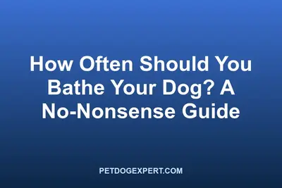 A dog being bathed with shampoo in a tub