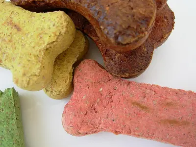 10 Best Low Phosphorus Dog Treats Reviewed