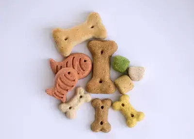 10 Best Tiny Dog Treats for Small Breeds: Our 2026 Rankings